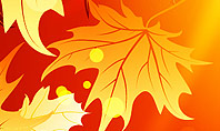 Autumn Maple Presentation Template