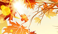 Yellow Leaves in the Sunset Presentation Template