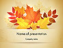 Bunch of Autumn Leaves slide 1