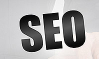 SEO Solution Presentation Template