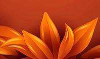 Orange Leaves Frame Presentation Template