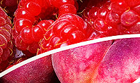 Fruits Swirl Presentation Template