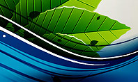 River and Green Leaves Presentation Template
