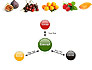 Fruit Mix slide 14