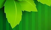 Green Leaf Theme Presentation Template