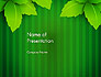 Green Leaf Theme slide 1