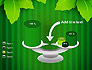 Green Leaf Theme slide 10