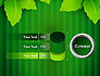 Green Leaf Theme slide 11