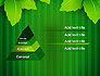 Green Leaf Theme slide 12