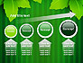Green Leaf Theme slide 13