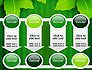 Green Leaf Theme slide 18