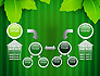 Green Leaf Theme slide 19