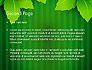 Green Leaf Theme slide 2