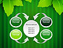 Green Leaf Theme slide 6
