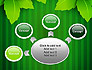 Green Leaf Theme slide 7