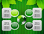 Green Leaf Theme slide 9
