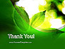 Translucent Green Leaf slide 20