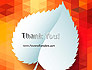 Paper Leaf on Orange Background slide 20