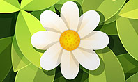 Green Gear Shape with Flower Presentation Template