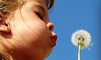 Kid Girl Blowing Dandelion Flower Presentation Template