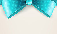 Blue Ribbons and Bows Frame Presentation Template