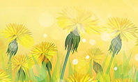 Dandelions Flowers on Sunshine Presentation Template