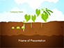 Peas Plant Growth Illustration slide 1