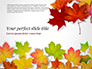 Autumn Maple Leaves slide 1