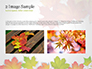 Autumn Maple Leaves slide 11