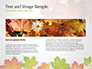 Autumn Maple Leaves slide 14