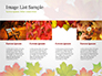 Autumn Maple Leaves slide 16