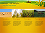 Idyllic Farm Landscape slide 16