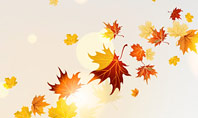 Autumn Leaves and Sunbeams Presentation Template