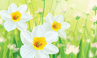 Daffodils Presentation Template