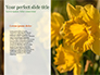 Daffodils slide 9
