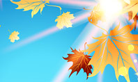 Beautiful Sunny Autumn Presentation Template