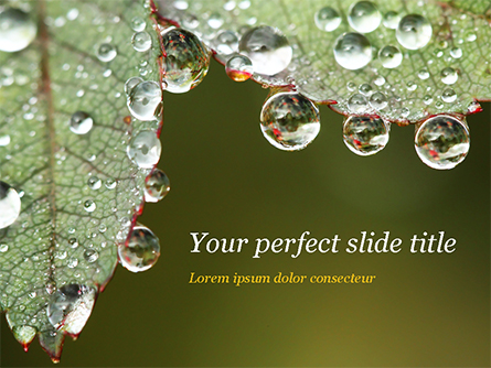 Leaf and Water Drops Presentation Template, Master Slide