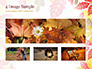Autumn Oak Leaves slide 13