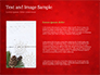 Christmas Tree Branches and Snowflakes slide 15