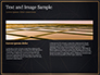 Black Background with Golden Triangular Grid and Frame slide 14