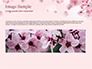 Delicate Sakura Flowers slide 10