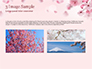 Delicate Sakura Flowers slide 12