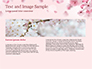 Delicate Sakura Flowers slide 14