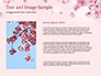 Delicate Sakura Flowers slide 15