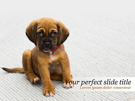 Cute Puppy Presentation Template, Master Slide