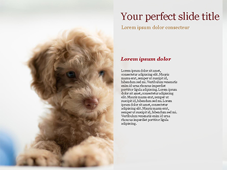 Cute Puppy Presentation Template for PowerPoint and Keynote | PPT Star