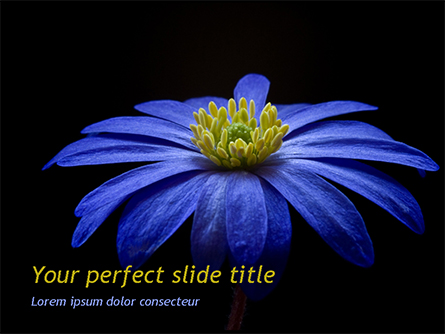 Blue Flower Presentation Template, Master Slide