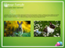 Cute Easter Background slide 11