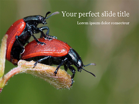 Two Ladybugs Presentation Template, Master Slide