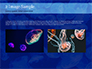 Group of Bioluminescent Jellyfish slide 11